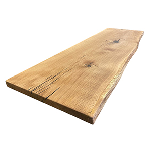 wild oak (Wildeiche)